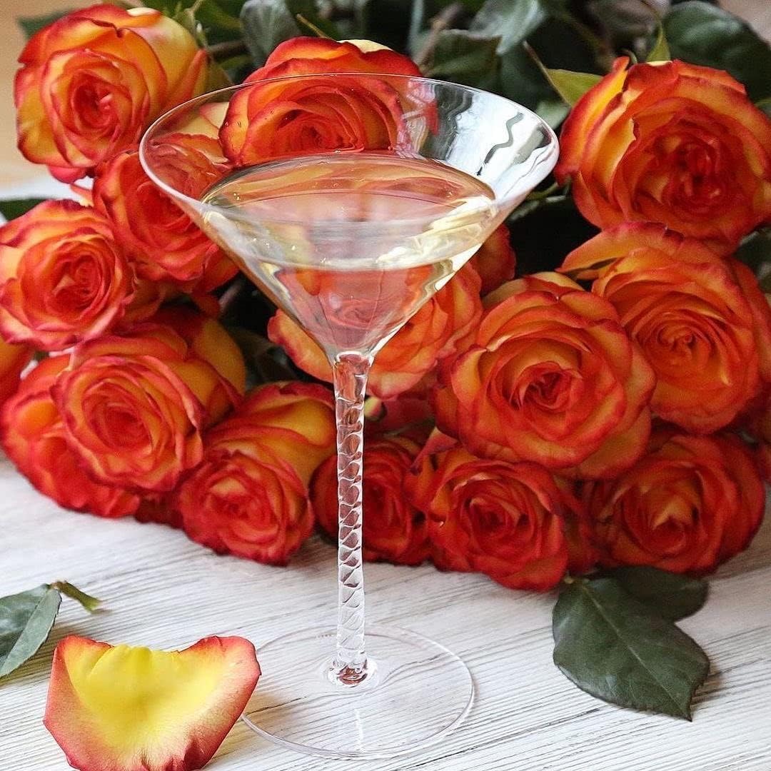 Wilmax Martini Gläser Set 200 ml aus Kristallglas WL-888106/2C