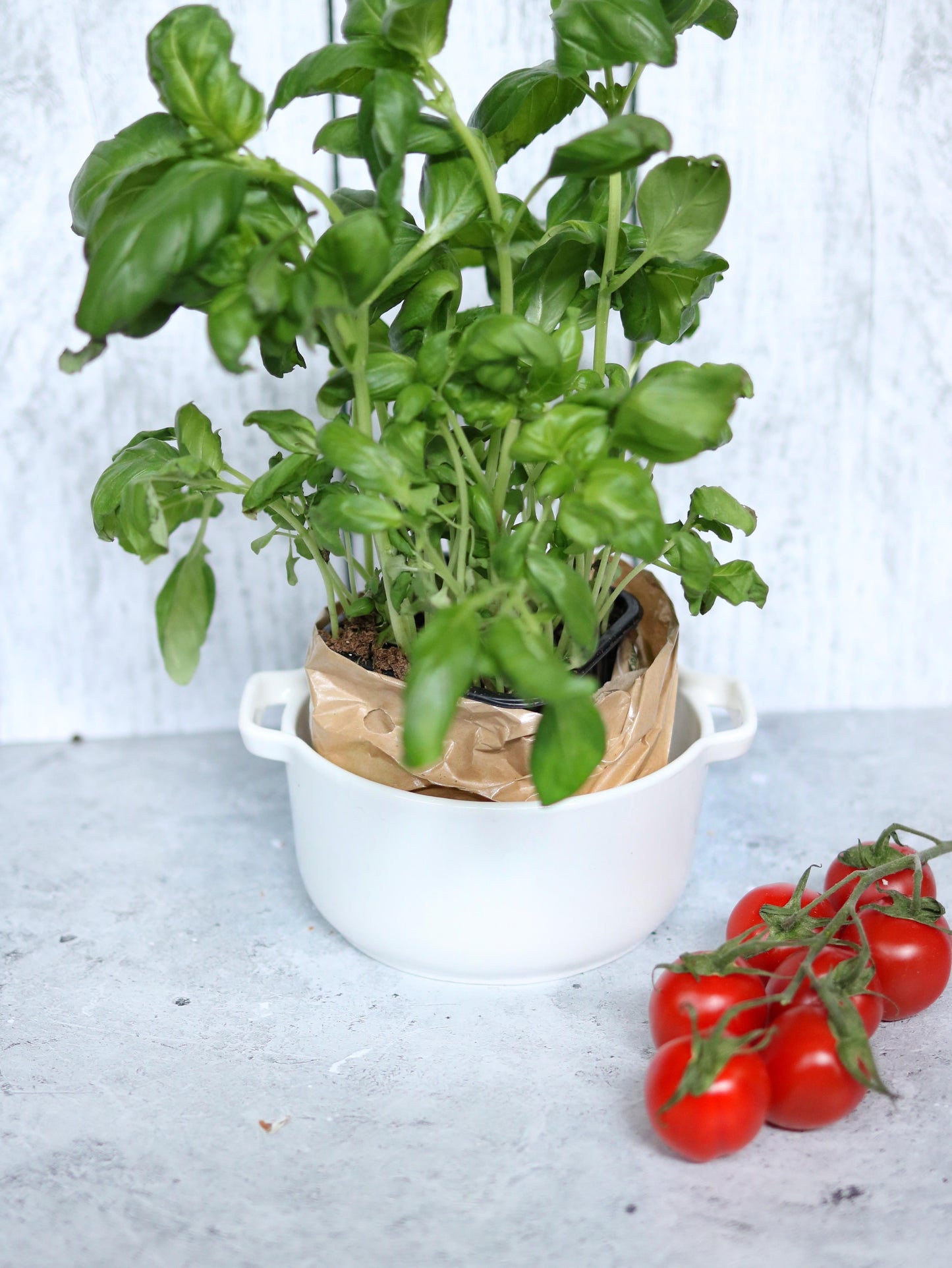 Wilmax Backform mit Griffen, 220 ml, Porzellan, WL-997033/A