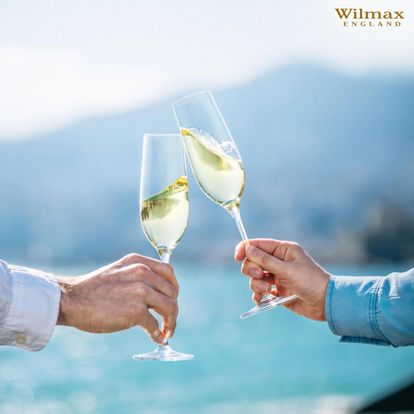 Wilmax Champagnerflöten Set 2-teilig, 260 ml, Kristallin WL-888048/2C
