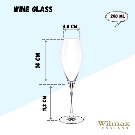 Wilmax Champagnerflöten 2-teilig, 290 ml, elegantes Kristallglas – WL-888050/2C