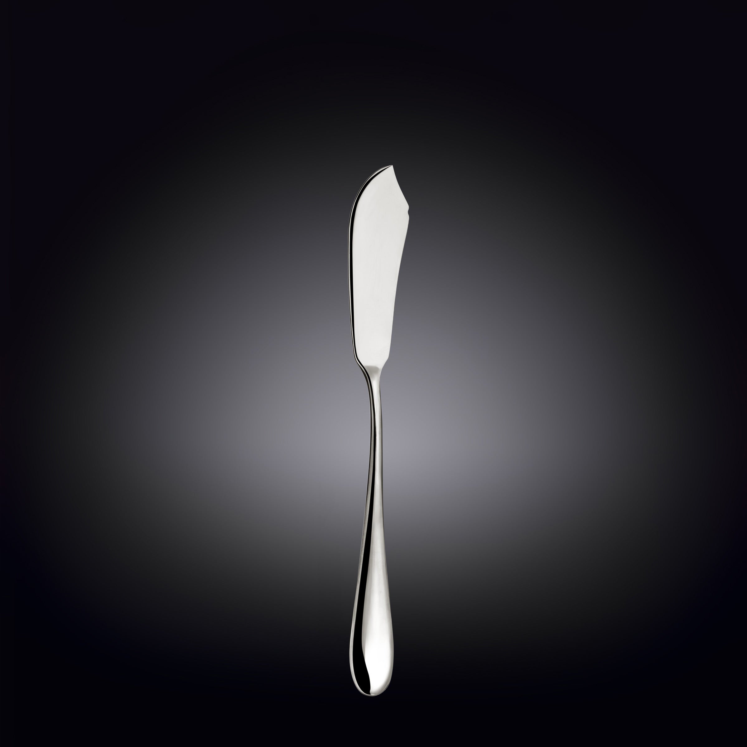 Wilmax England Visbestek 2-delig 20,5 cm RVS