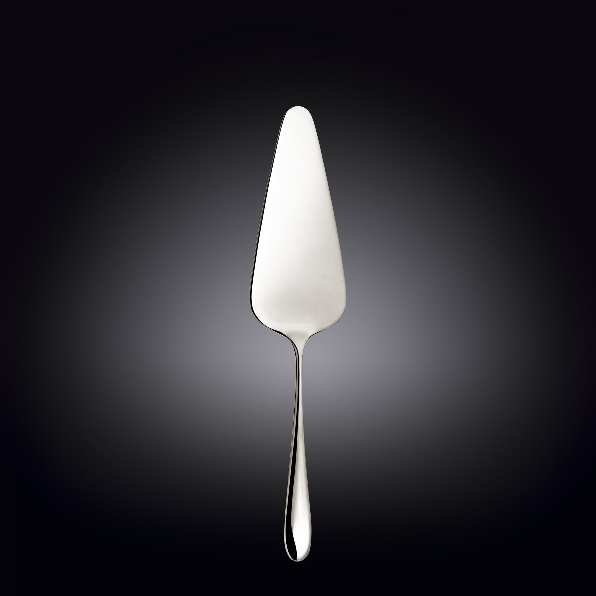 Wilmax England Taartschep 22 cm RVS WL-999125/1C