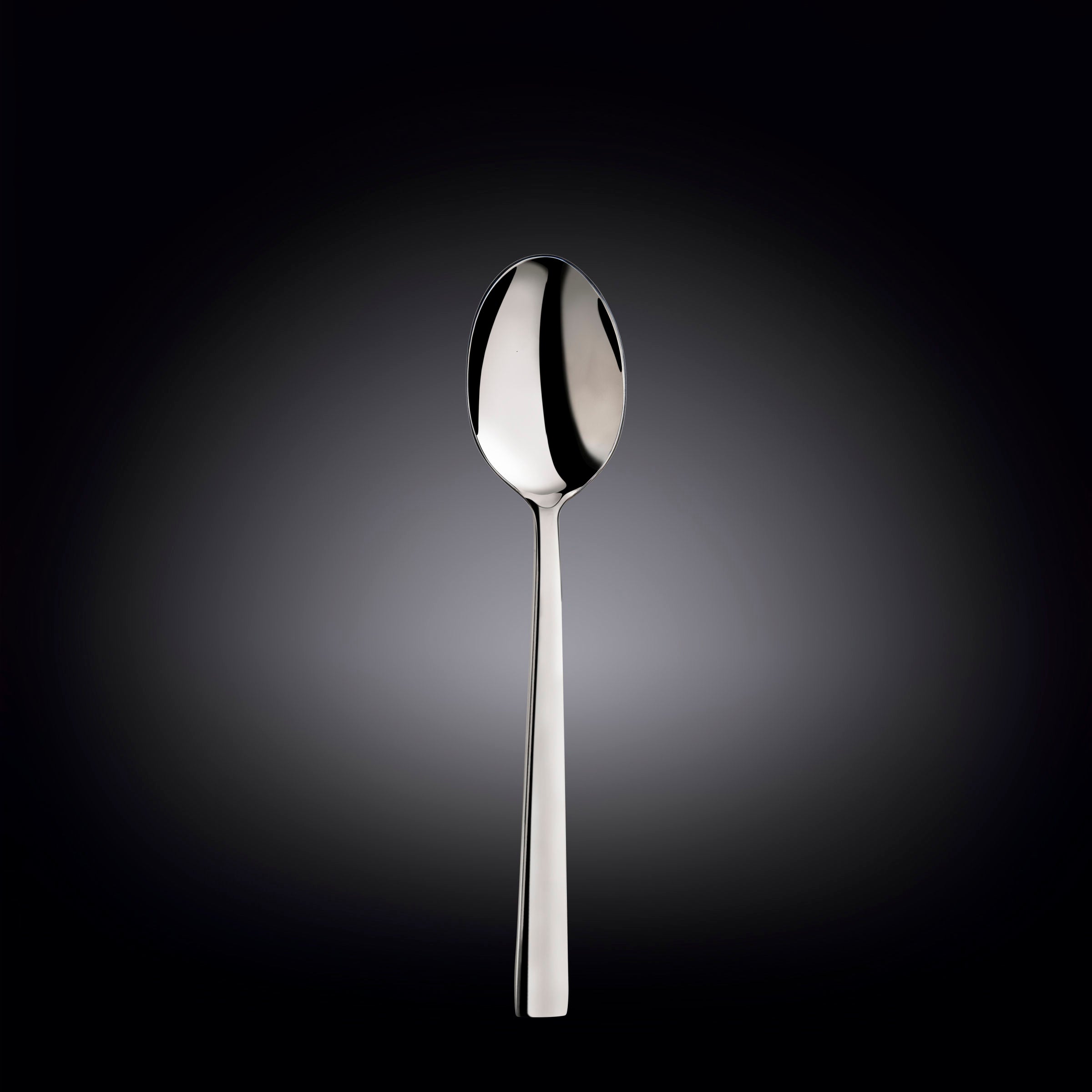 Wilmax Eetlepel 20 cm RVS WL-999303/A