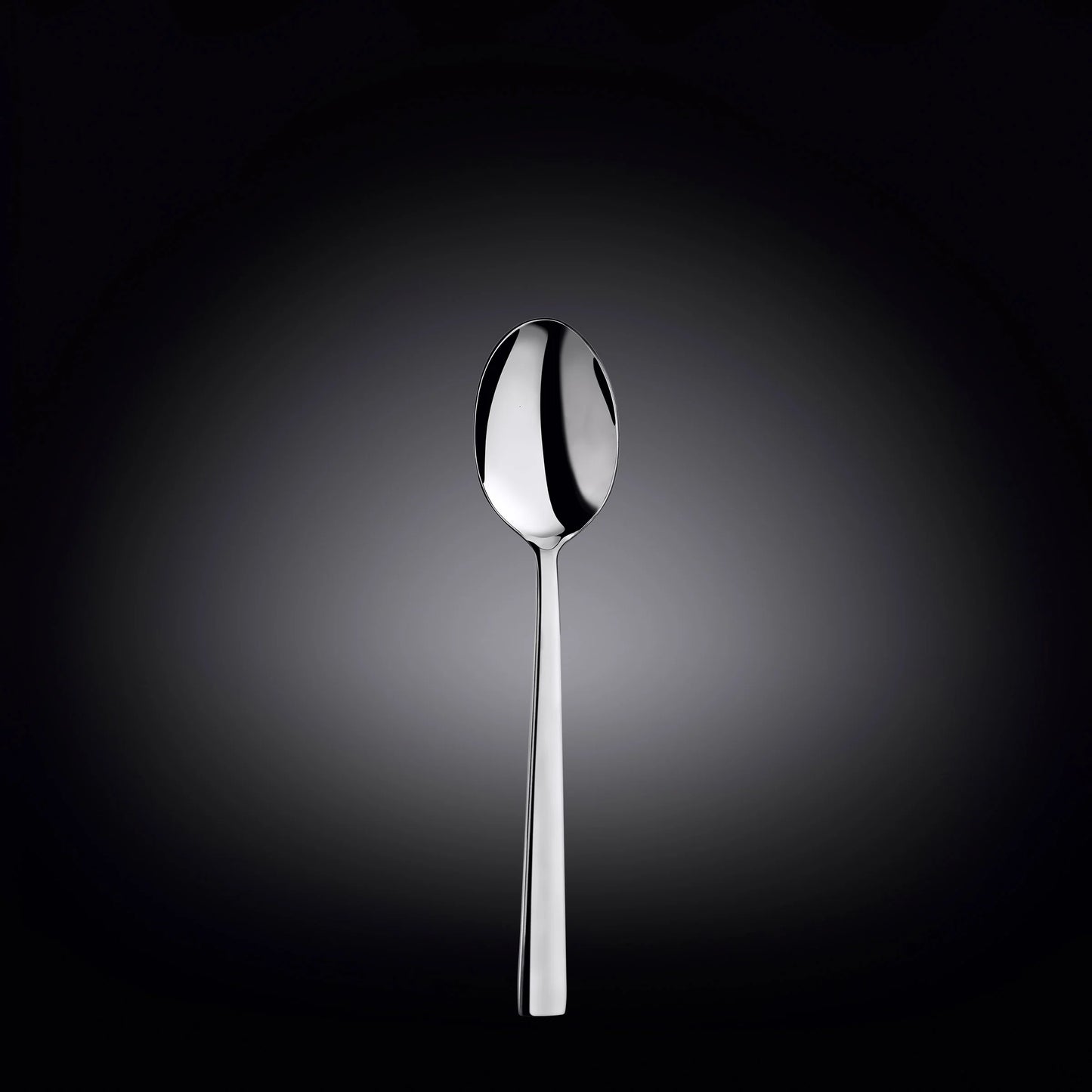 Wilmax Dessertlepel 18 cm Roestvrij staal (RVS) WL-999307/A
