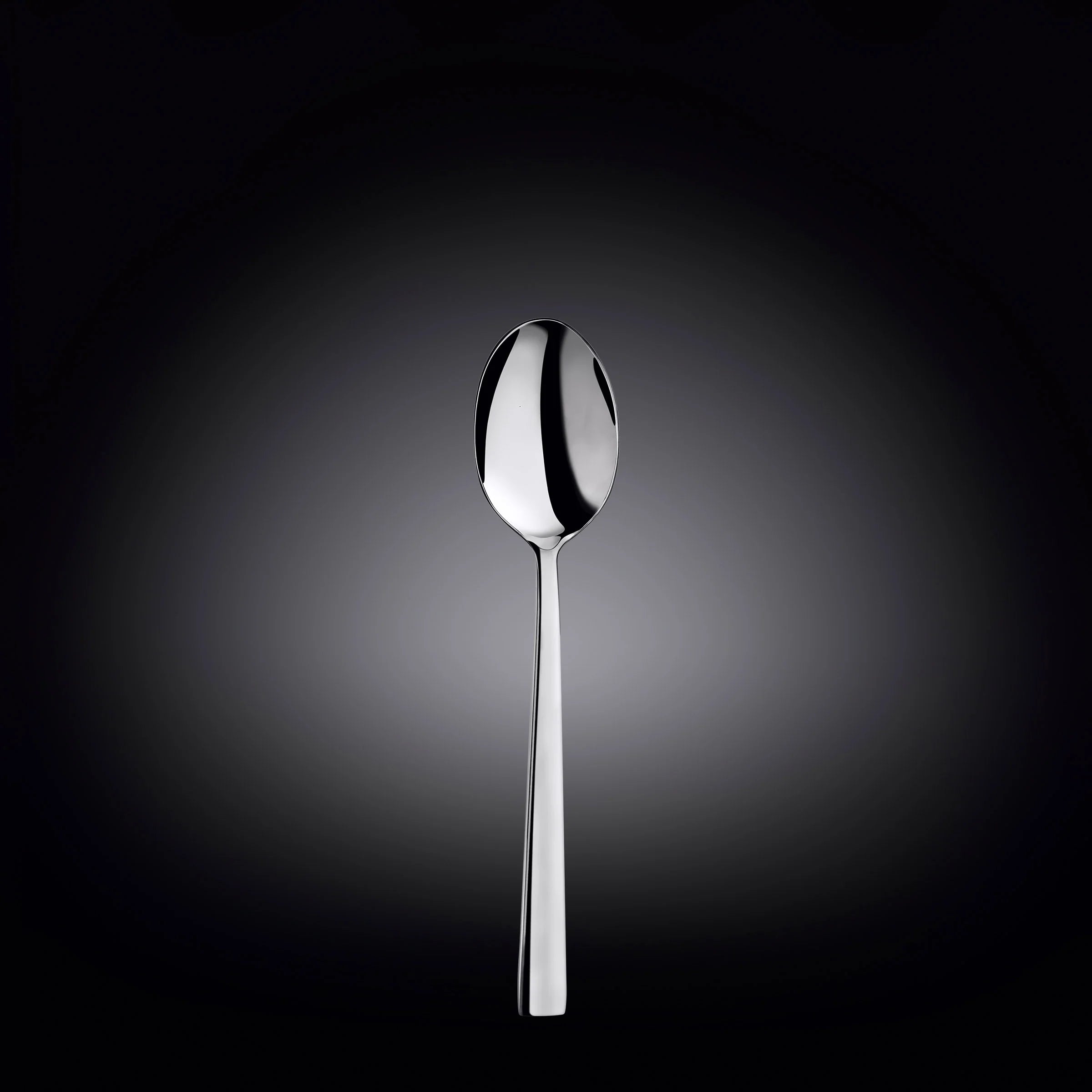 Wilmax Dessertlepel 18 cm Roestvrij staal (RVS) WL-999307/A